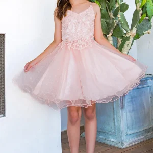 Embroidery Sparkly Tulle A-Line Girl Party Dress by Cinderella Couture USA AS5112