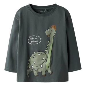 Långärmad T-shirt Dinosaurie Tamir Grå